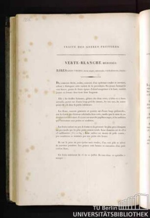 Verte-blanche hérissée. Ribes albo-viridis, fructu magno, subrotundo, è viridi albescente, liispido.