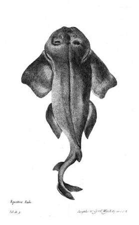 Tab D3