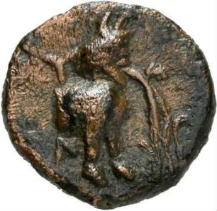 Incertum