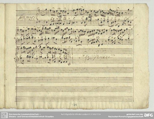[3.] Amoroso
