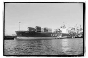 Contship Nobility
