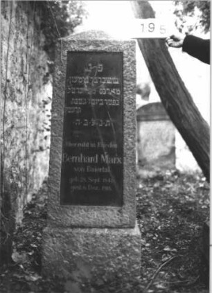 Grabstein 1195