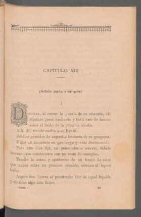Capítulo XIII - ¡Adiós para siempre!