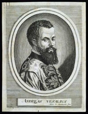 Vesalius, Andreas