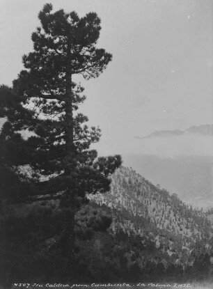 Landschaft : Die bergige Landschaft von Gran Canaria