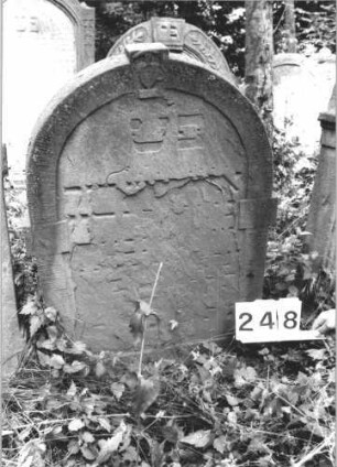 Grabstein 248