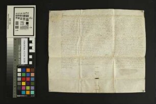Hechtsheim: Compositio inter Capitulum Ecclesie b. Marie Virginis in Campis alias St. Crucis extra muros Mogunt. et Wenerhero Matthis in Hexheim d...