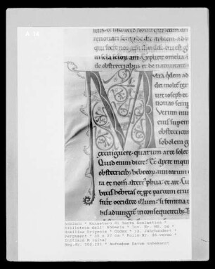Homiliae Origenis — Initiale M (ulta), Folio 35 verso
