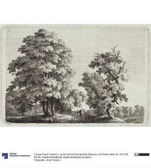 Landschaft mit zwei großen Bäumen und Reiter