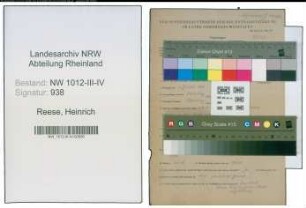 Entnazifizierung Heinrich Reese , geb. 03.01.1894 (Ingenieur)