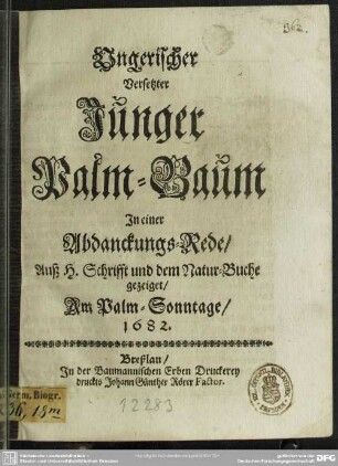 Ungerischer versetzter junger Palm-Baum in einer Abdanckungs-Rede ...
