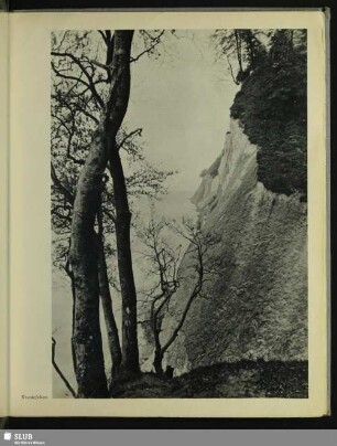 Kreidefelsen