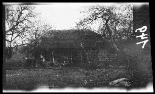 vor Josefowo (?) (an der Dubissa-Stellung, Litauen): kleines reetgedecktes Holzhaus zwischen kahlen Bäumen ("russisches Bauernhaus")