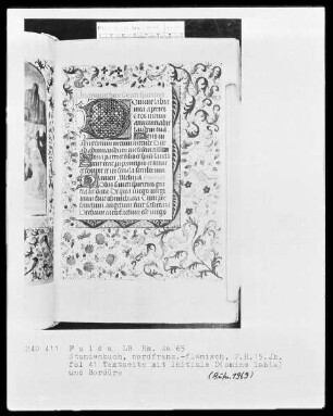 Stundenbuch, ad usum Romanum — Initiale D (omini) mit Rankenbordüre, Folio 41 recto