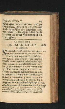 XVII. De Imaginibus.