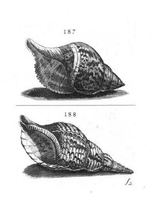 187. - 188.