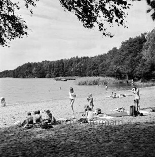 Großensee: Nordufer: Badestrand mit Gruppen von Badegästen: hinten Badestege und Schilf: dahinter Wald