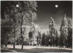 Winterlandschaft, Taunus