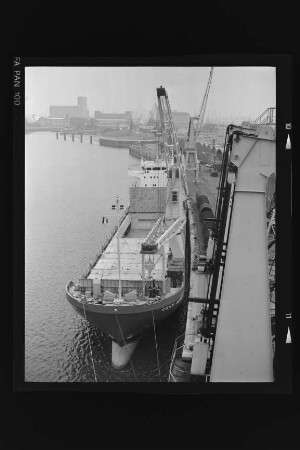Conti Almania (1983), Frachtschiff, Contimar Line GmbH & Co. KG, Hamburg, Bau-Nr. 936
