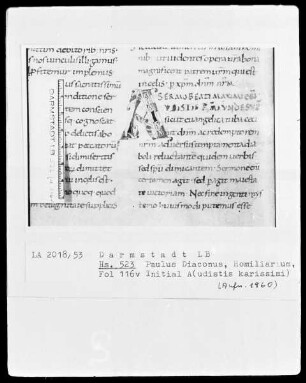 Paulus Diaconus, Homiliarium (Winterteil) und andere — Initiale A(udistis carissimi), Folio 116verso