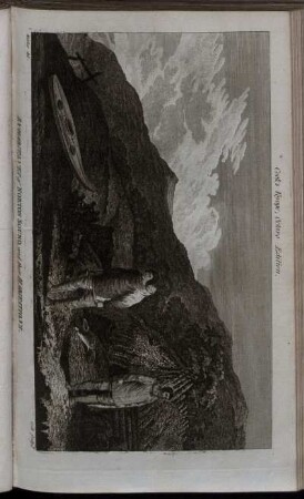 Inhabitanis of Norton Sound, and their Habitations