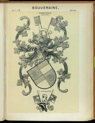 Taf. 101. 1. Falkenstein. (aus einem W.-B.) - 2. n.d. Stuttgarter W.-B.)