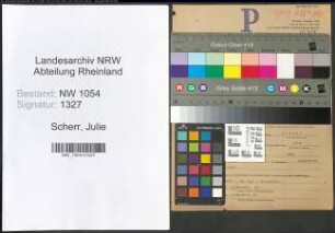 Entnazifizierung Julie Scherr , geb. 02.08.1895 ()
