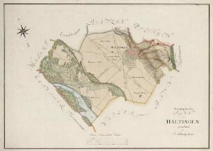 Topographischer Plan von Haltingen