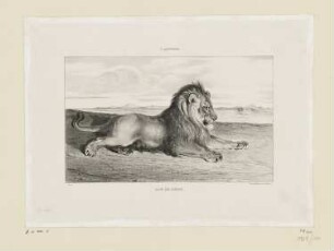Lion de Perse