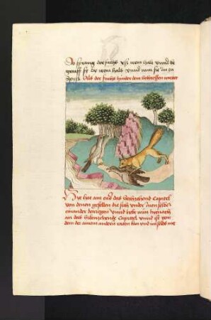 Der Fuchs ergreift die Vogelfrau; (Kapitel XVI: Von den Vögeln).