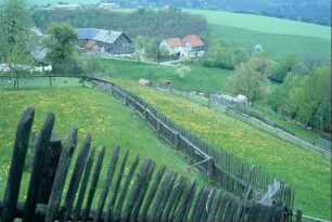 Dorfrand mit sehr langen Holzzäunen, Wiesen, Häuser