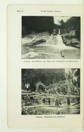 Kamerun. Eingeborene beim Brückenbau