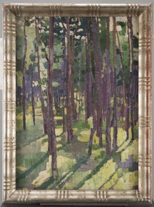 Grunewald Kiefern