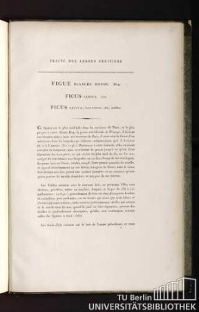 Traité des arbres fruitiers. Figue blanche ronde. Duh. Ficus carica. Lin. Ficus sativa, fructu turbinato, albo, mellifluo.