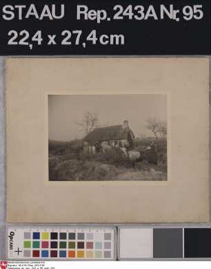 Ansichten von Kolonistenhäusern in MOORDORF 5 Fotografien von Ziegler; 1897 Format: 16x11,5