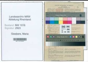 Entnazifizierung Maria Giesbers , geb. 03.09.1899 (Angestellte)
