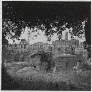 Rom, Forum Romanum, Blick zum Hügel Kapitol