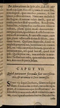 167-173, Caput VII