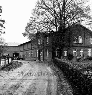 Schlamersdorf: Bauerngehöft des Bürgermeisters Ewald Ramm: vorn Auffahrt: rechts Garten, Baum und Hecke: links Zaun: hinten links Trecker und Anhänger