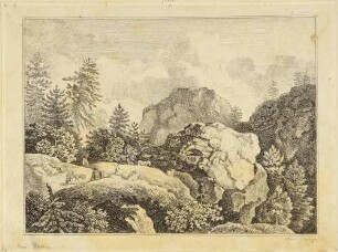 Landschaft mit Felsen bei Rathen in der Sächsischen Schweiz