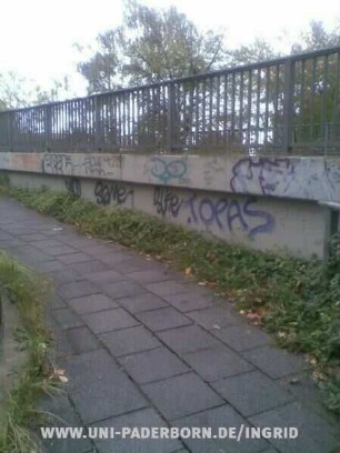 .TOPAS