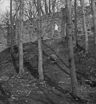 Greiffenberg / Gryfów Slaski, Burg Greiffenstein / Zamek Gryf
