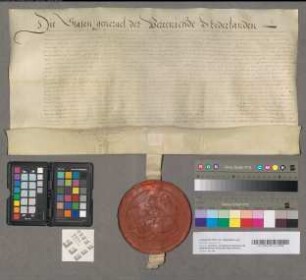 Aanstelling van de Staten-Generaal voor Johan Wolfert van Brederode tot Goeverneur van Den Bosch en de forten daaromtrent gelegen, 27 Januari 1630. Perkament met 1 uithangend zegel.