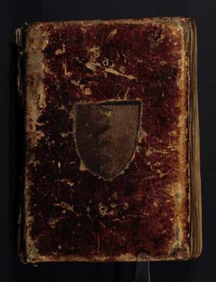 Christina Ebner: Visionen – Nürnberg, STN, Cent. V, App. 99