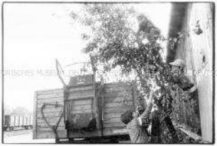 Drei Kinder klettern in und an einem Baum, daneben ein alter Eisenbahnwaggon (Prämiertes Foto Sonderthema: Spiele spielen)