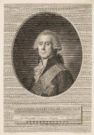Bildnis von Joachim Godske Graf von Moltke (1746-1818)