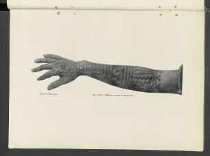 Plate LXXV.