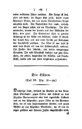¬Die¬ Esthen : Taf. XII, Fig. 56 bis 59