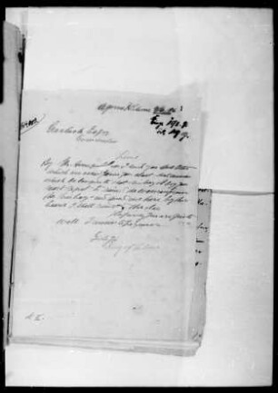 Grundbesitz der Katholischen Mission im Schutzgebiet Togo. Situationsplan des Grundstücks der Katholischen Mission nordöstlich von Amutive im Lagunenbett (Amtsbezirk Lome)