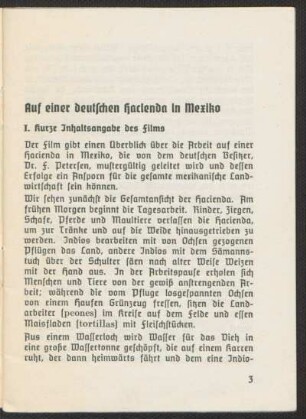 I. Kurze Inhaltsangabe des Films